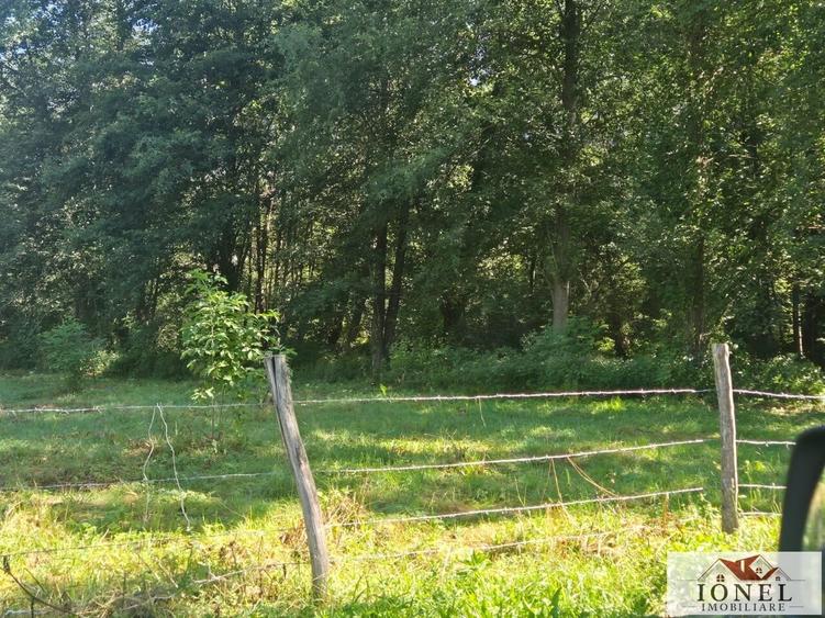Casă individuală cu 3 camere cu Teren 5653 Mp în Mogoș