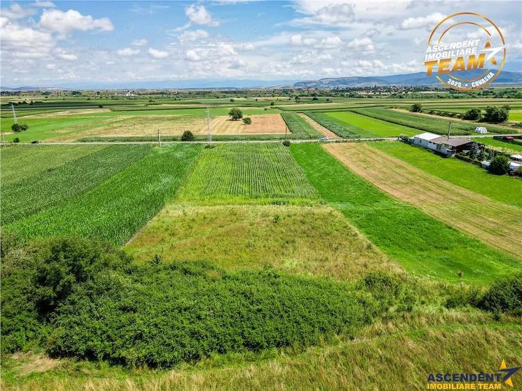 Teren de 7400 mp, în Sâncraiu