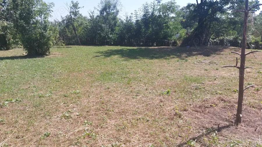 Teren de 2000 mp, în Pietriceaua