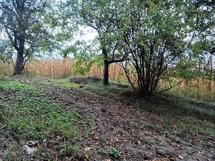Casă cu 4 camere în Vizantea Mănăstirească