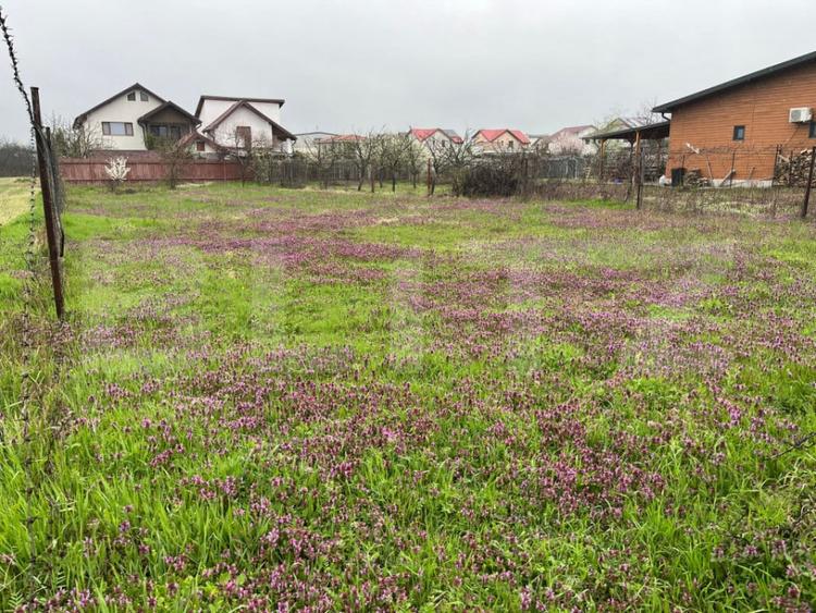 Teren de 650 mp, în Malu Mare
