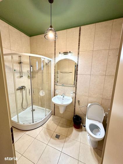 Inchiriere apartament 3 camere, zona C. Brancusi - 16