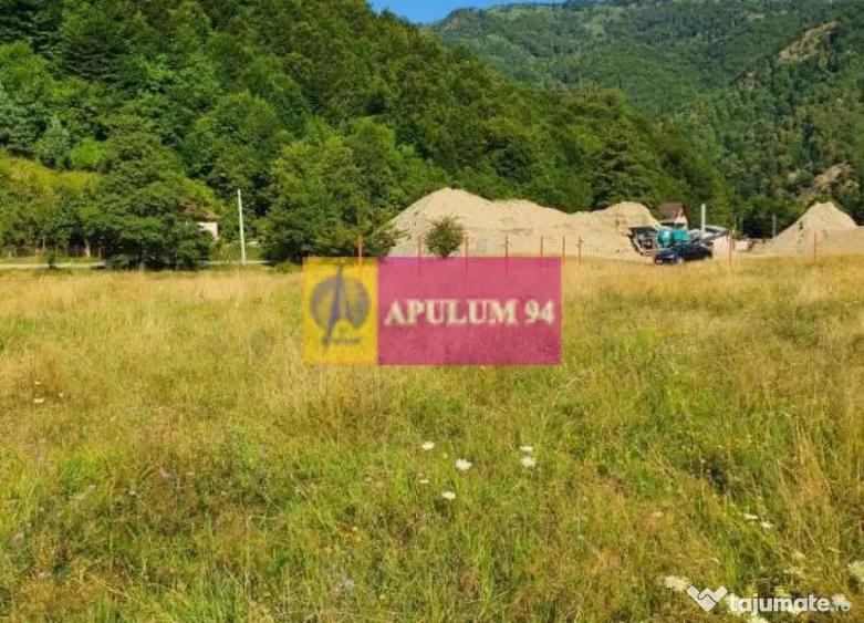 Teren Jude?ul Valcea - Brezoi, Valea lui Stan - 16