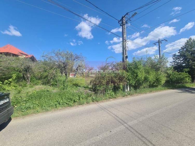 Teren de vanzare in Campina in zona retrasa Teren de vanzare in Campina in zona retrasa