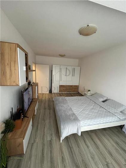 Apartament 1 camera-2020-Centrala-Buziasului - 3