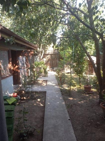 CASA SECTOR 1 - BUCURESTII NOI - 5