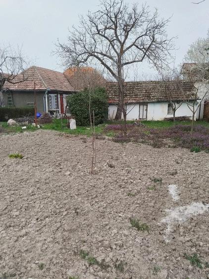 Casa de vanzare - 1