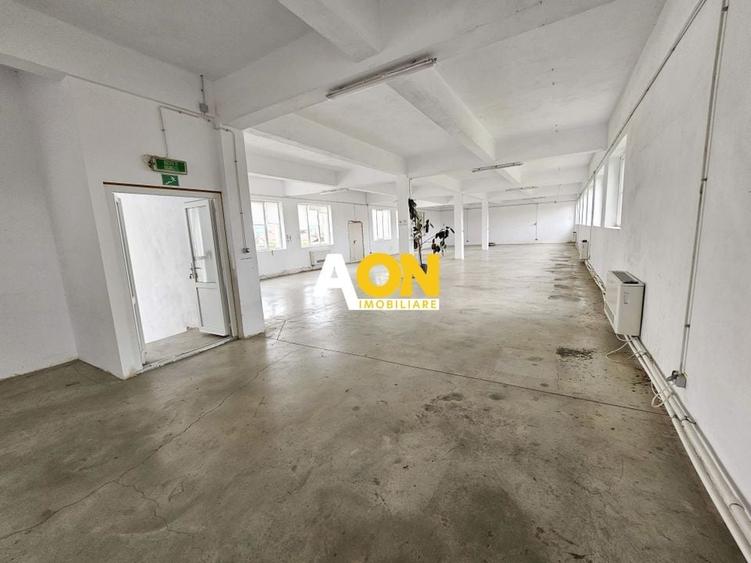Spatiu industrial pentru productie sau depozitare, 1600 mp, Sebes - 21