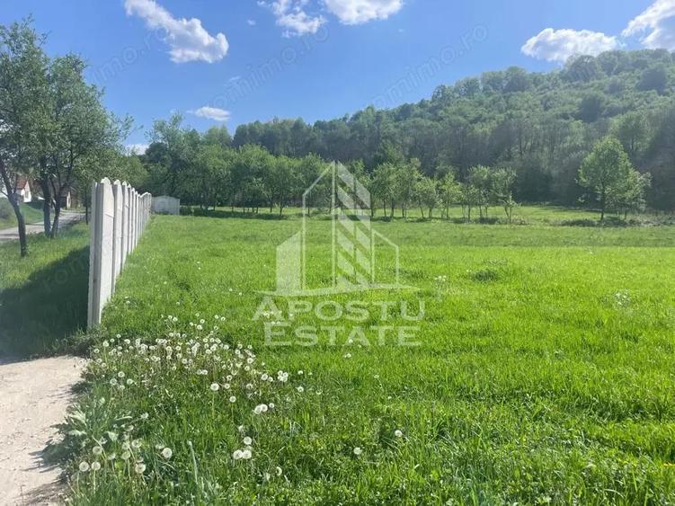 Teren intravilan, partial imprejmuit, eligibil grant- Pojoga, com. Zam - 6