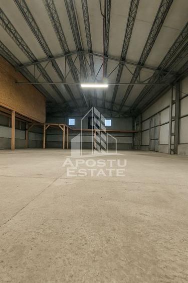 Hala depozitare, parcare, Dumbravita - 2