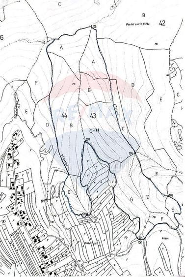 Padure 34 ha Capusu Mare - 5