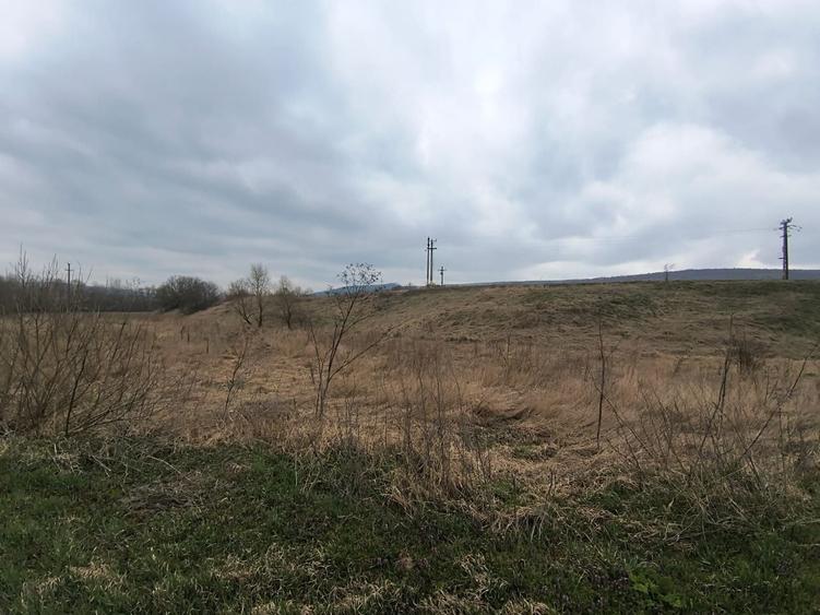 Teren 12.400 MP | 180 ml deschidere E85 | Pătrăuți | 70.000€ - 1