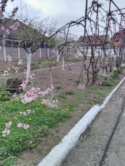 vanzare ,inchiriere sau schimb de locuinta cu casa  mai mica in hunedoara - 4