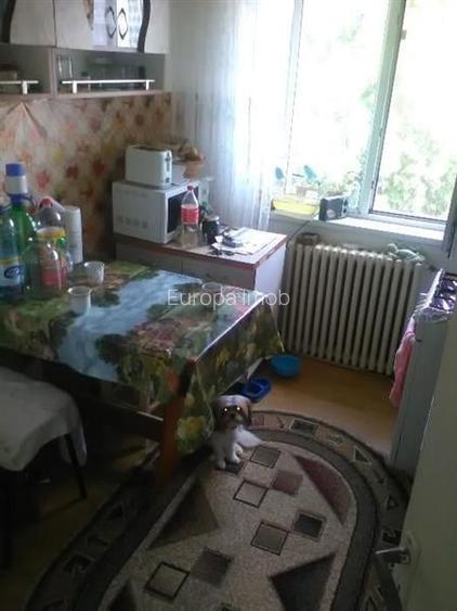 Apartament 2 camere de vanzare zona 23 August Tulcea Apartament 2 camere de vanzare zona 23 August Tulcea