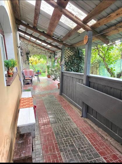 Teren 6762 mp +casa Les - 9