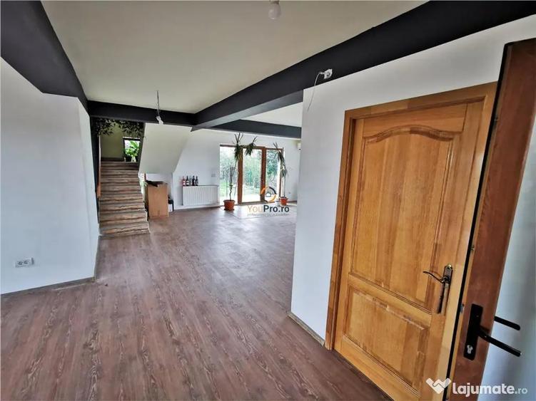 Vila Deosebita Rudicica - 7