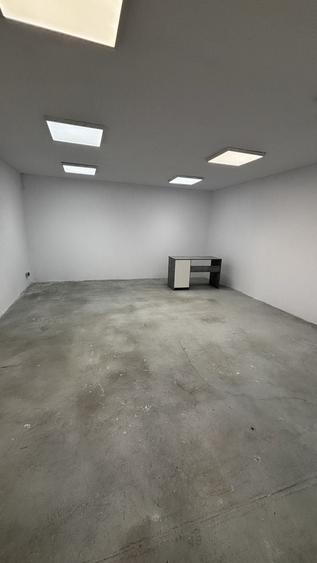 Hala de închiriat - 5