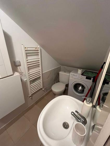 Studio Blaga 44 mp de inchiriat - 3