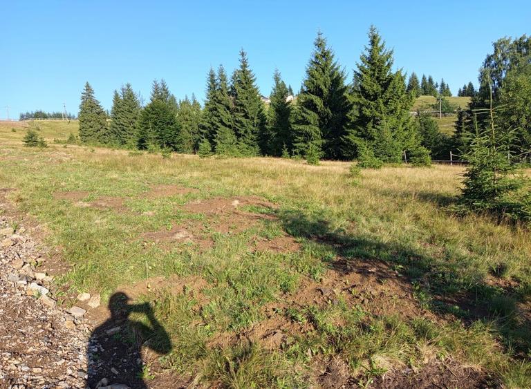 Teren Piatra Fantanele / Pasul Tihuta 1.450 euro/ar - 2