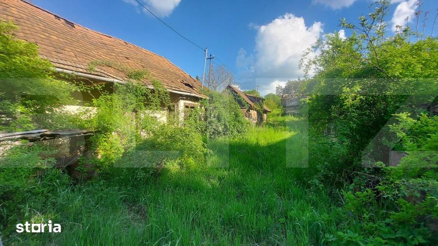 Teren intravilan 4905 mp I Livada I Casa demolabila I Magherus - 2
