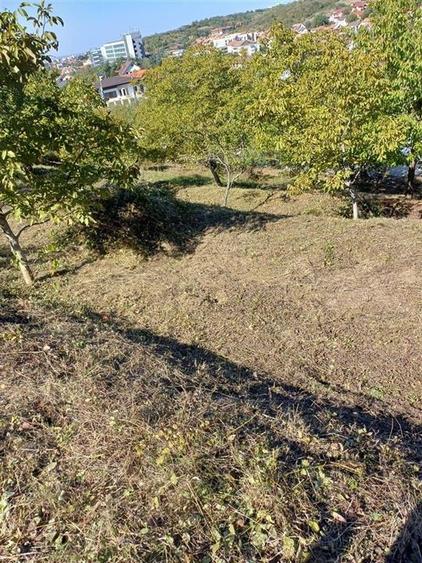 RECO Teren intravilan in Oradea zona Dealuri 850mp cu utilitati - 2