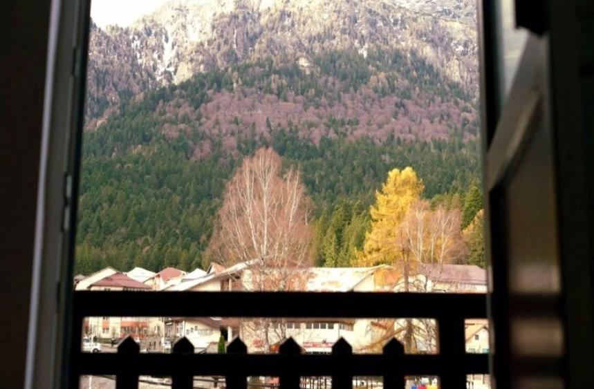 Chirie Busteni pe termen lung sau mic - 3