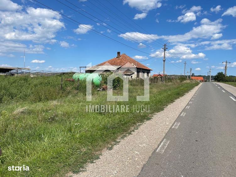 Teren 3000 mp Jucu de Sus | 4 case | utilitati | drum judetean | 60/m - 1