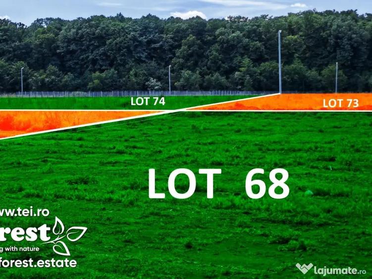 Lot lini?tit langa padure, langa Academia Titi Aur, Crevedia - 7