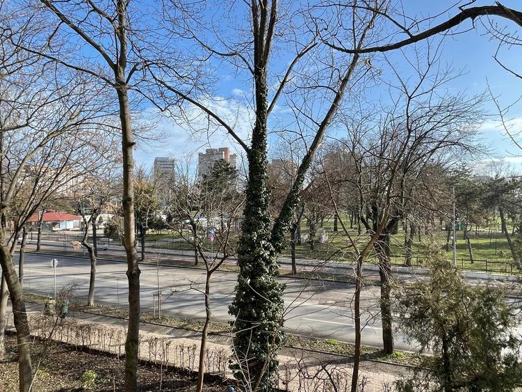 Gara- Bd. Ferdinand, apartament cu 2 camere decomandate, liber, vedere spre parc - 2