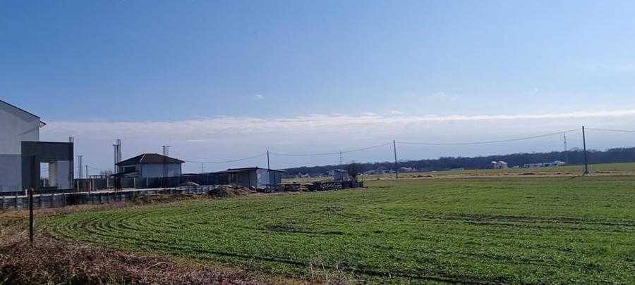 Proprietar, vând teren, construcții case, Zona Lac, Dumbrăvița - 5