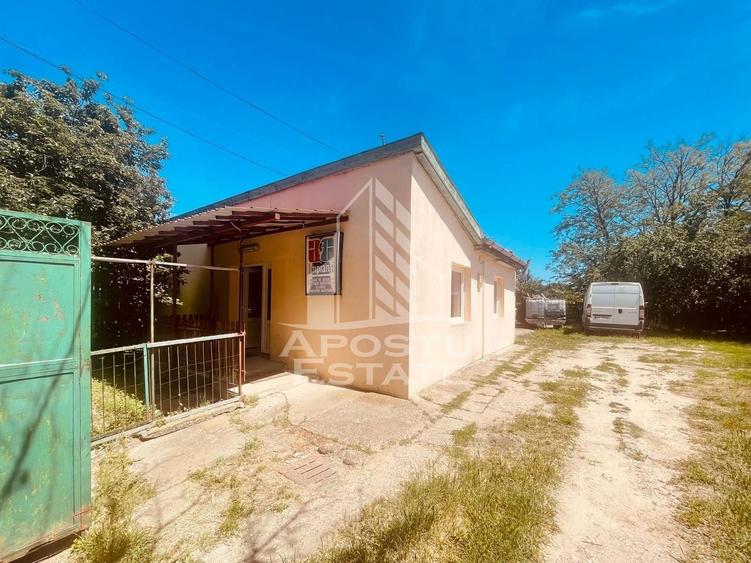 Birou, de 67.050003051758 mp, în Alfa