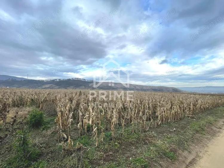 Teren extravilan | 3400 mp | Paclisa | Alba Iulia - 1