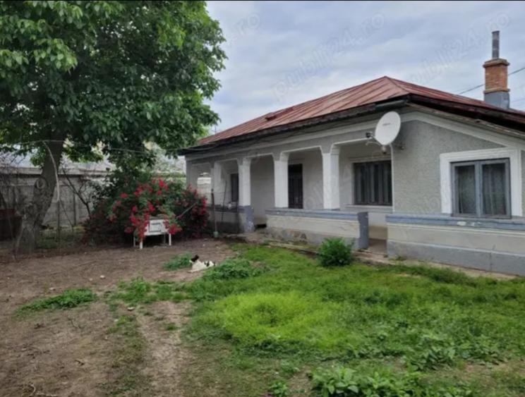 Cernica, Tanganu - 4