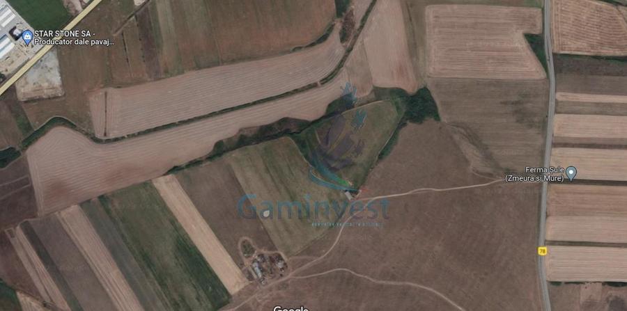 De vanzare teren extravilan 69150 MP in Nojorid, Bihor - 2