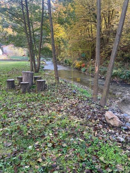 Proprietar. Vand teren. Paraul Runcu este limita de proprietate. Drum asfaltat - 7