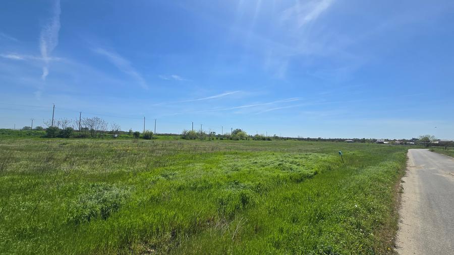 Teren 500 mp Dărăști Ilfov | Lângă pădure și râul Argeș | Deschidere 27 ml - 7