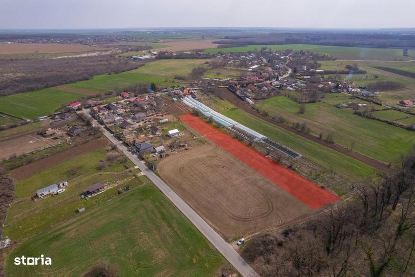 Nuci - Balta Neagra, Lot 3900 Mp, La Padure! - 4