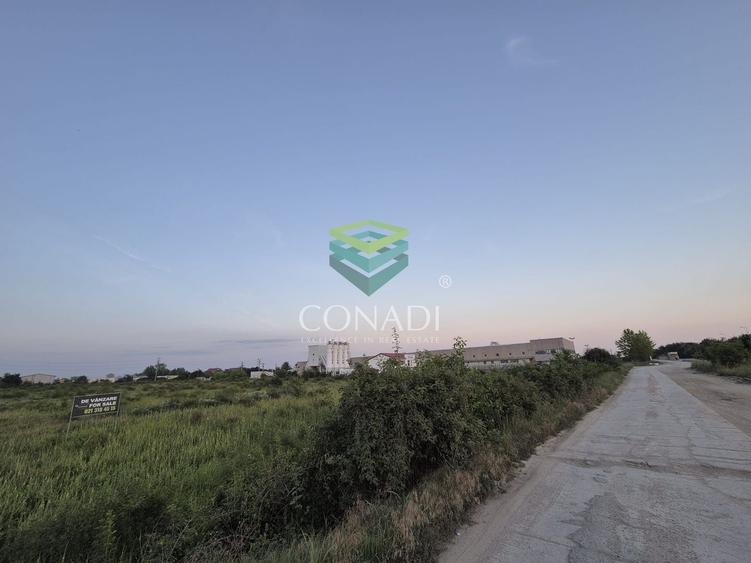 Teren  - pretabil pentru industrial - Centura -  Clinceni - 5