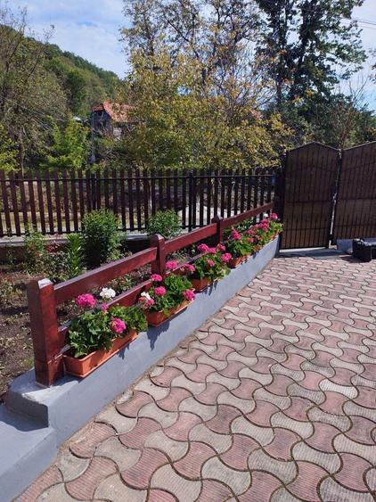 Vand casa in jud. Timis, com Margina, sat Costeiu de sus - 8