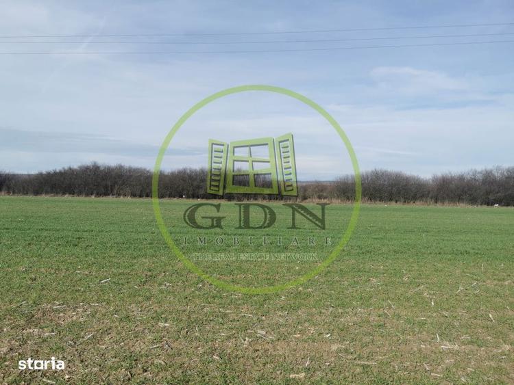 Teren extravilan de vanzare in Sacadat, 21.496 mp, cu deschidere de 42 - 5