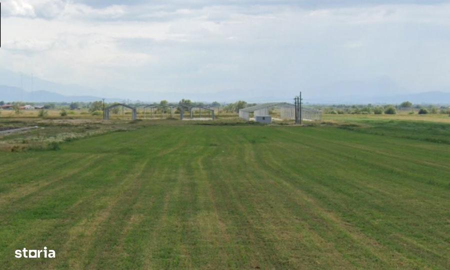 Constructii metalice 4.753 mp + Teren 58.331 mp, Valcele - 2