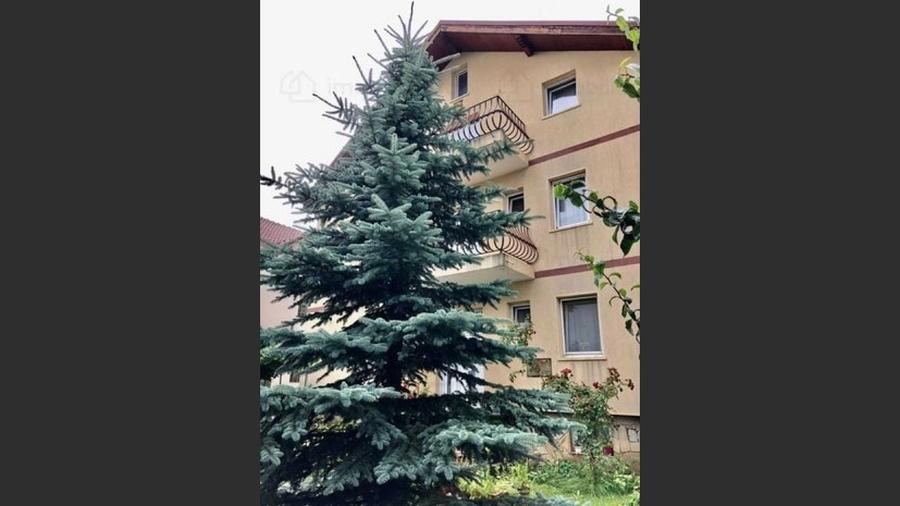 Villa for sale, 10 Rooms, 576 sqm, 700 sqm, Brașov - 5