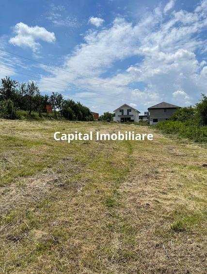 Teren de vanzare in Jucu de Sus: 1763 mp - 3