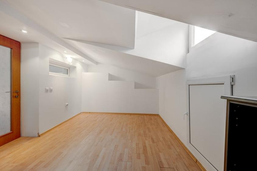 Vila de vanzare Domenii-Ion Mihalache - 13