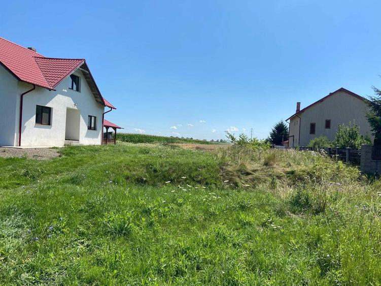 teren de vanzare - 3