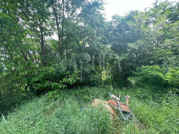 Teren intravilan pentru constructii de vanzare in Buna Ziua, Cluj Napoca - 3