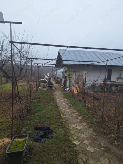 Vand gospodarie formata din 2 case in Peris langa Balotesti - 5
