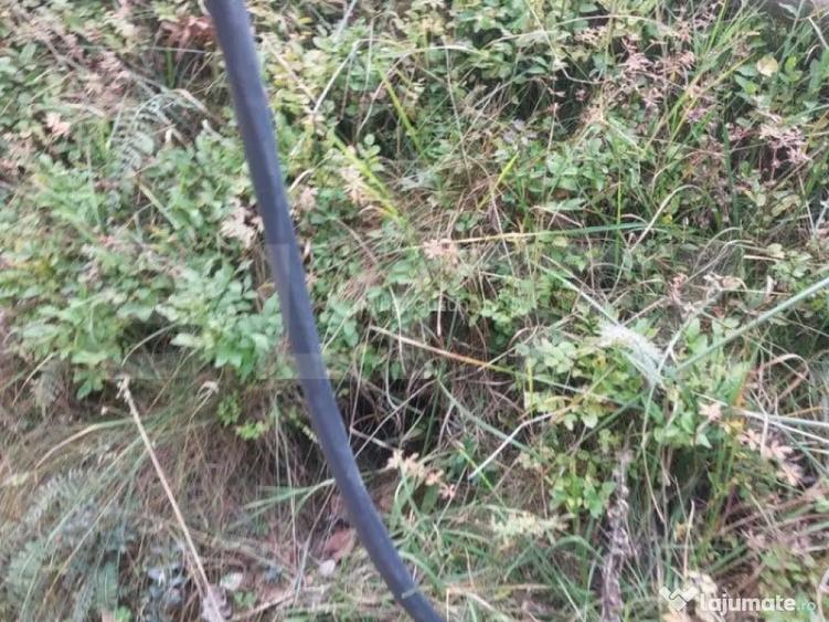 Oportunitate rara de a investi intr-un teren in Fundata-Br - 1