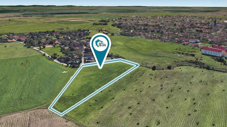 Teren de 11500 mp pentru Complex Reziden?ial in Sannicolau Mic - 4