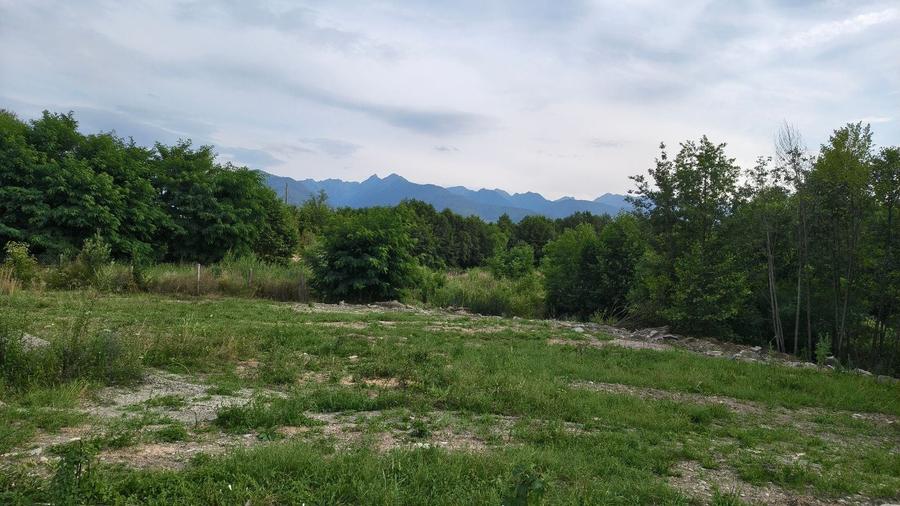 Teren de 1100 mp, în Arpașu de Sus